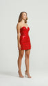Maroon Bodycon Mini Dress